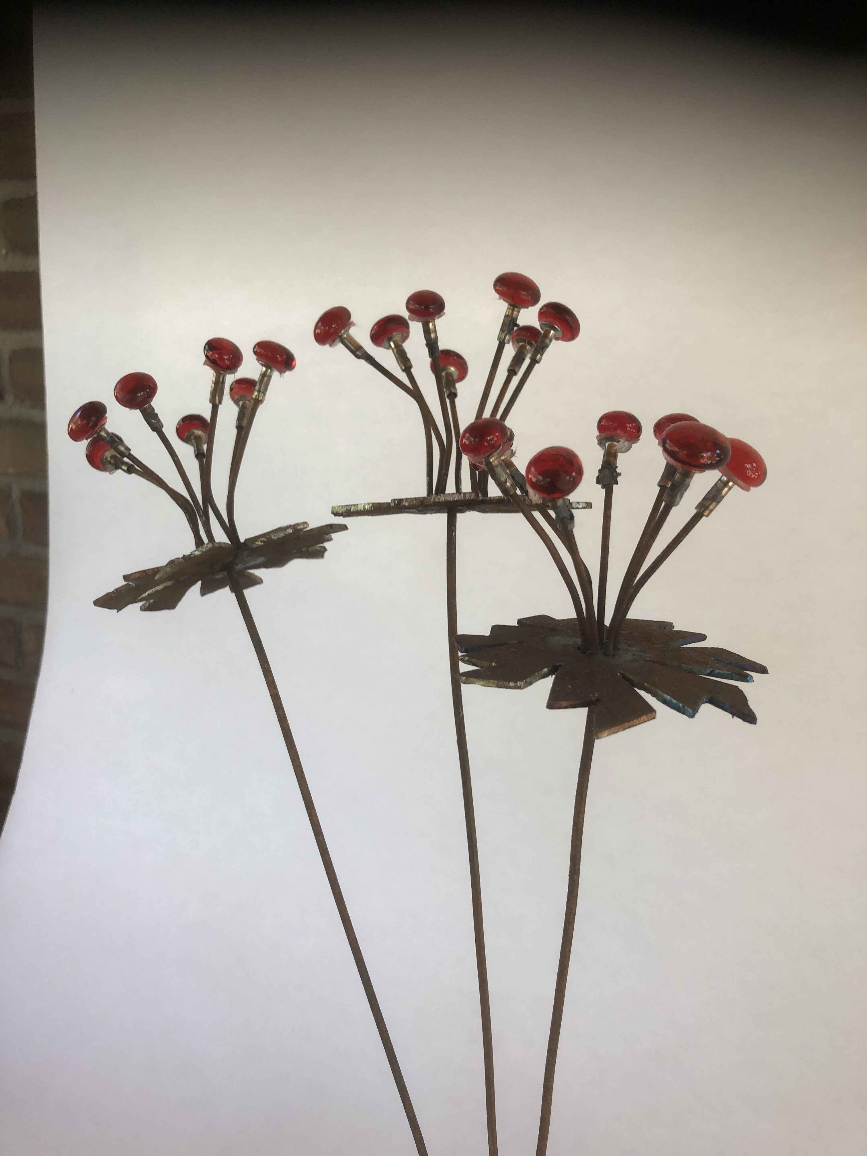 Mini bloem anemoon - Afbeelding 5