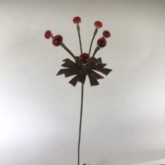 Mini bloem anemoon