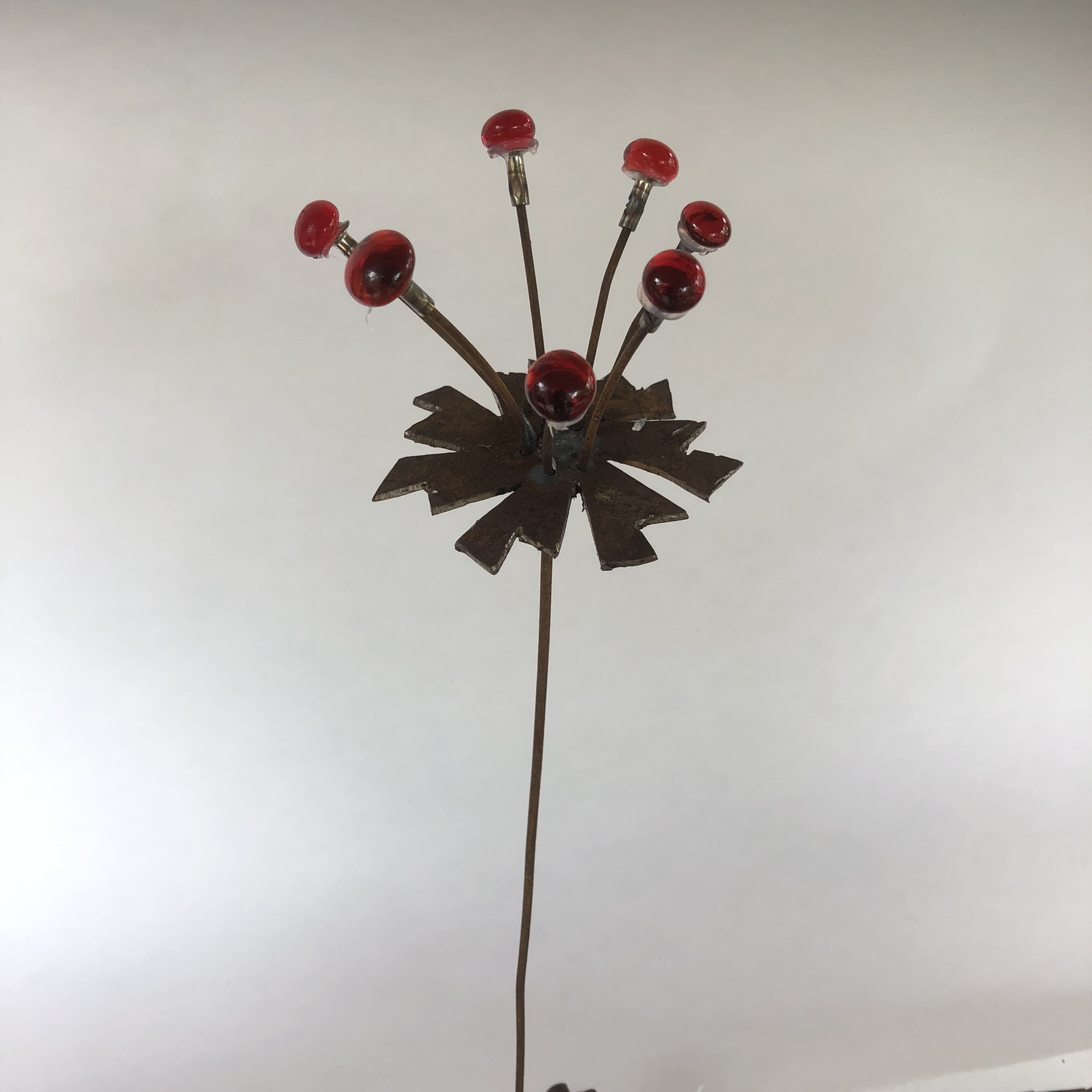 Mini bloem anemoon