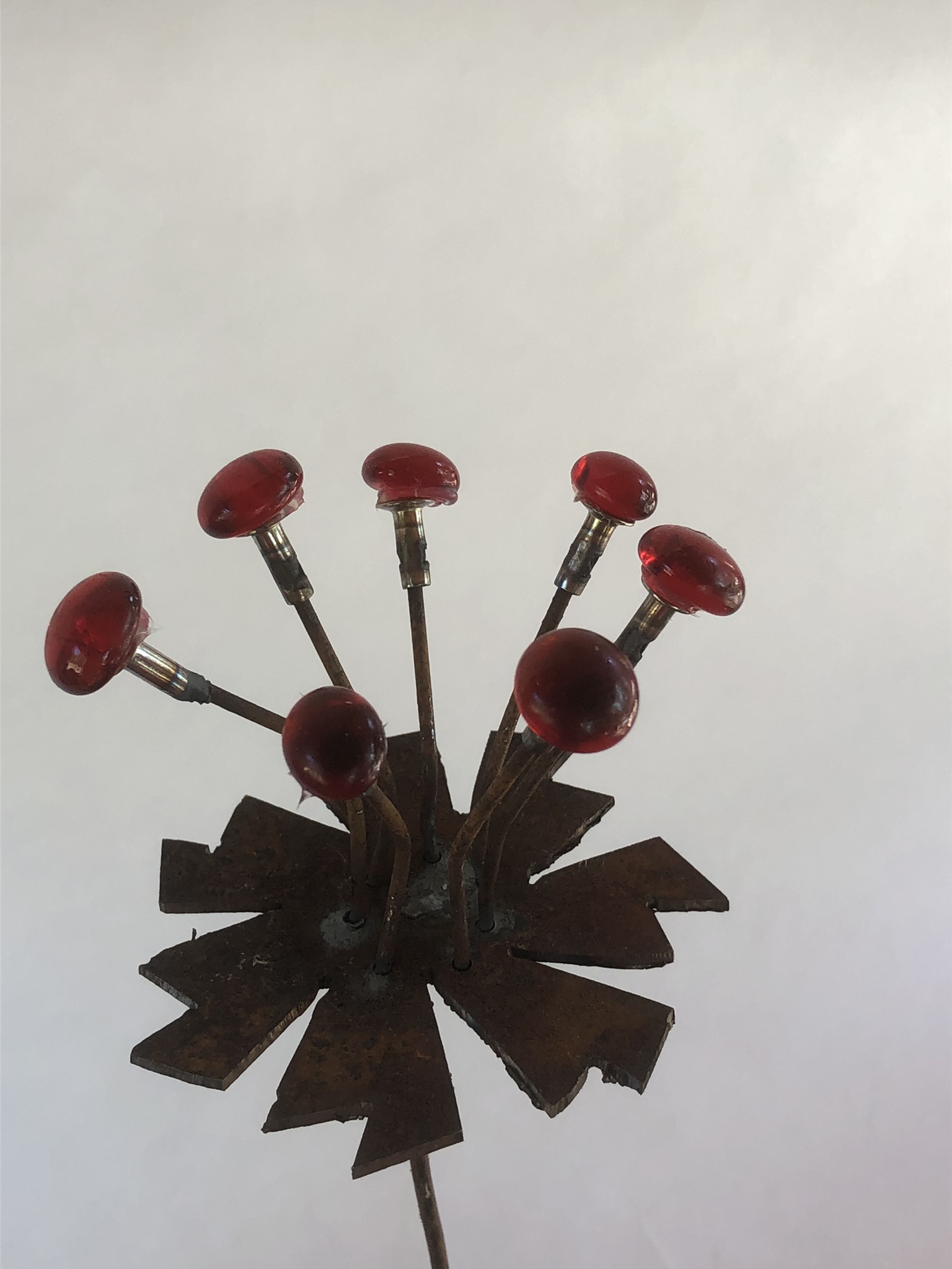 Mini bloem anemoon - Afbeelding 2