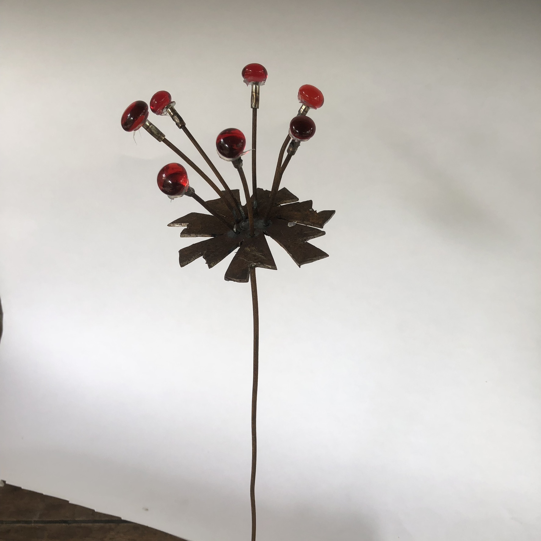 Mini bloem anemoon - Afbeelding 4